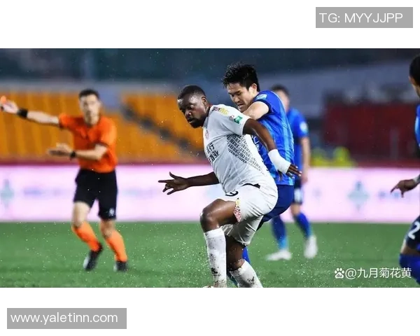 沈阳足球明星品牌的崛起与发展历程探讨