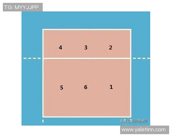 深圳排球队控制打法深度分析与战术解读