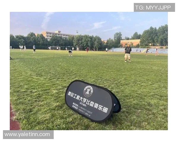 飞盘专题：聚焦武汉飞盘队的耐力